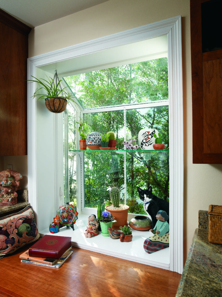 Energy Efficient Window Replacement